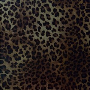 Meet your Posher, Jen